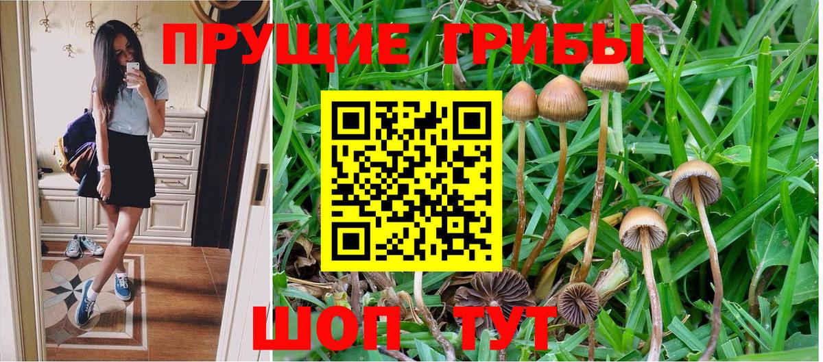 Ростов Великий  Псилоцибиновые грибы Magic Shrooms  Вход с VPN 
