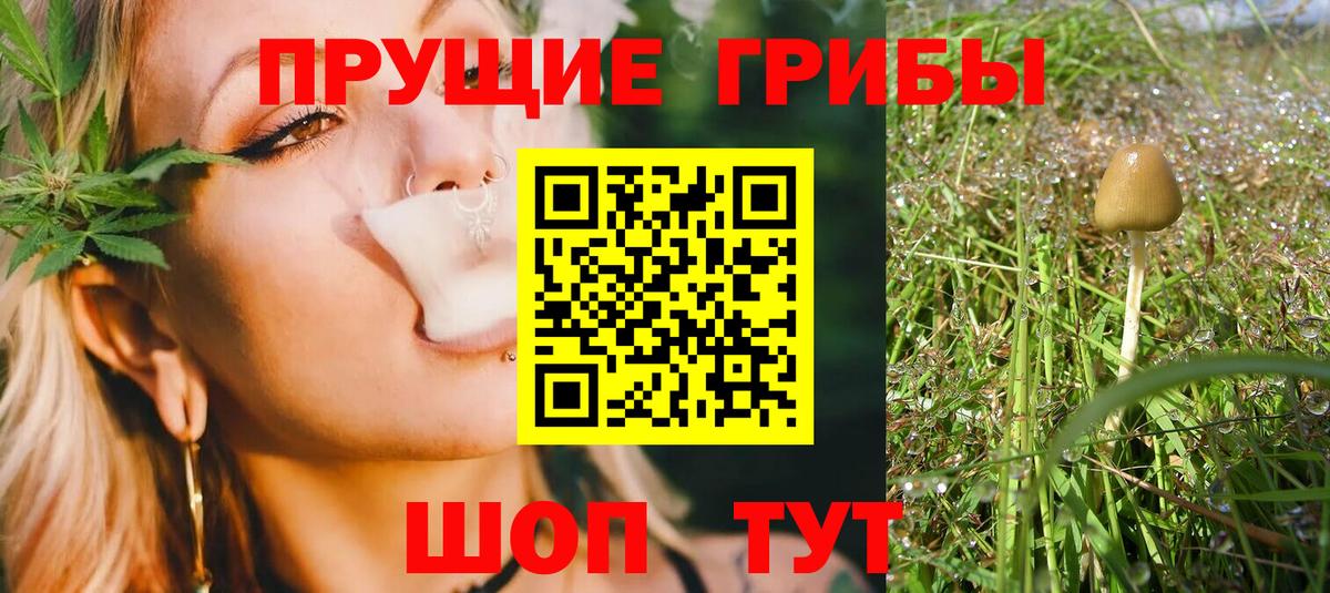 Галлюциногенные грибы мицелий Ростов Великий